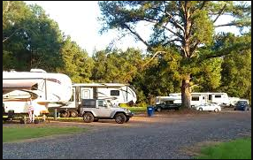 Jug Branch Lodge Camping