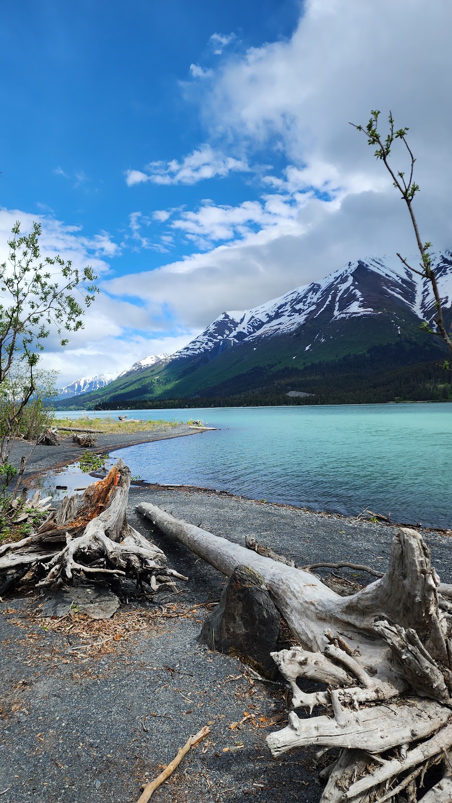 Primrose NF Campground