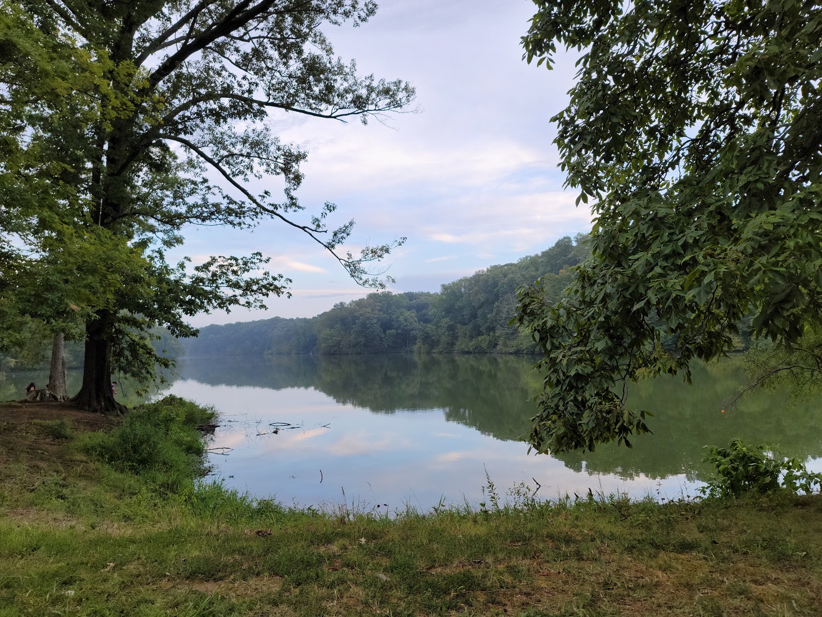 Meeman-Shelby Forest State Park