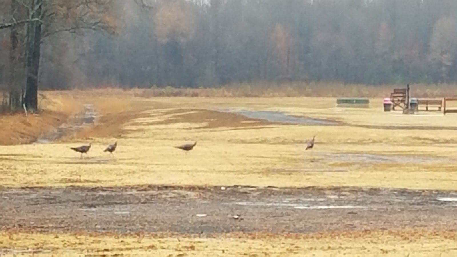 AGFF Jacksonville Shooting Sports Complex