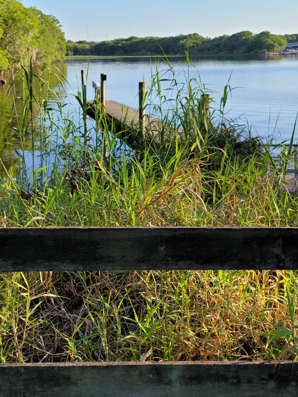 Lake Monroe County Park