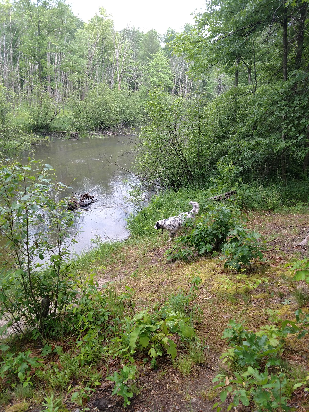 Old Grade NF Campground