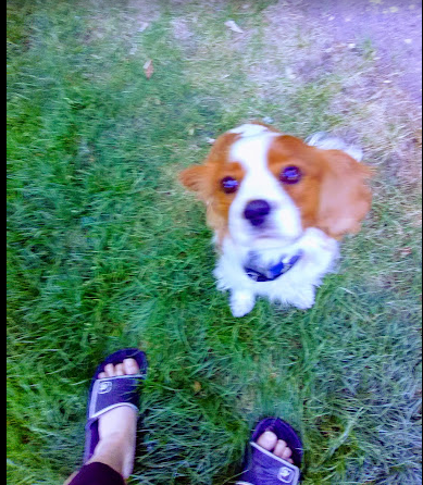 Lagoon Park Campground