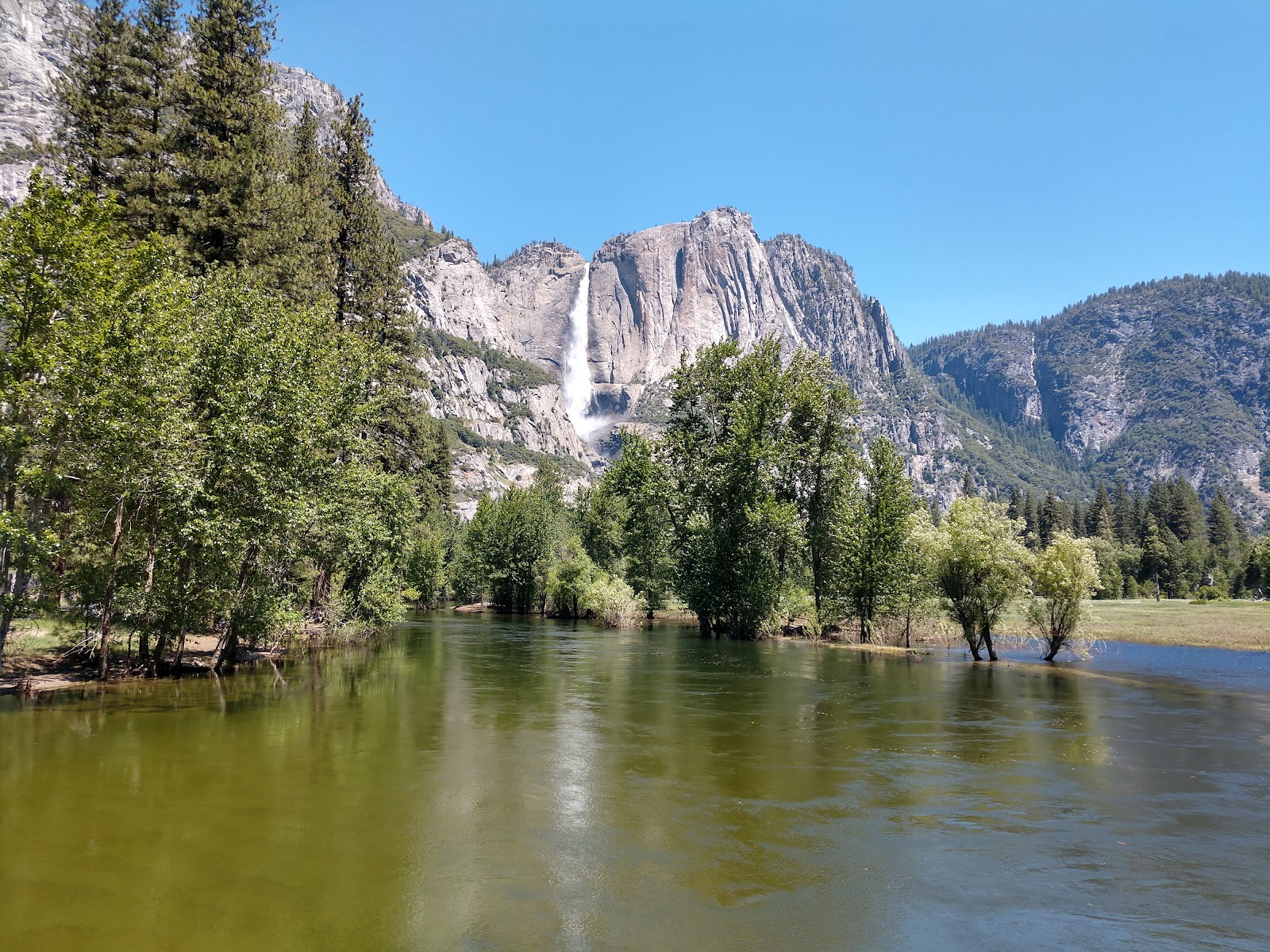 North Pines - Yosemite National Park