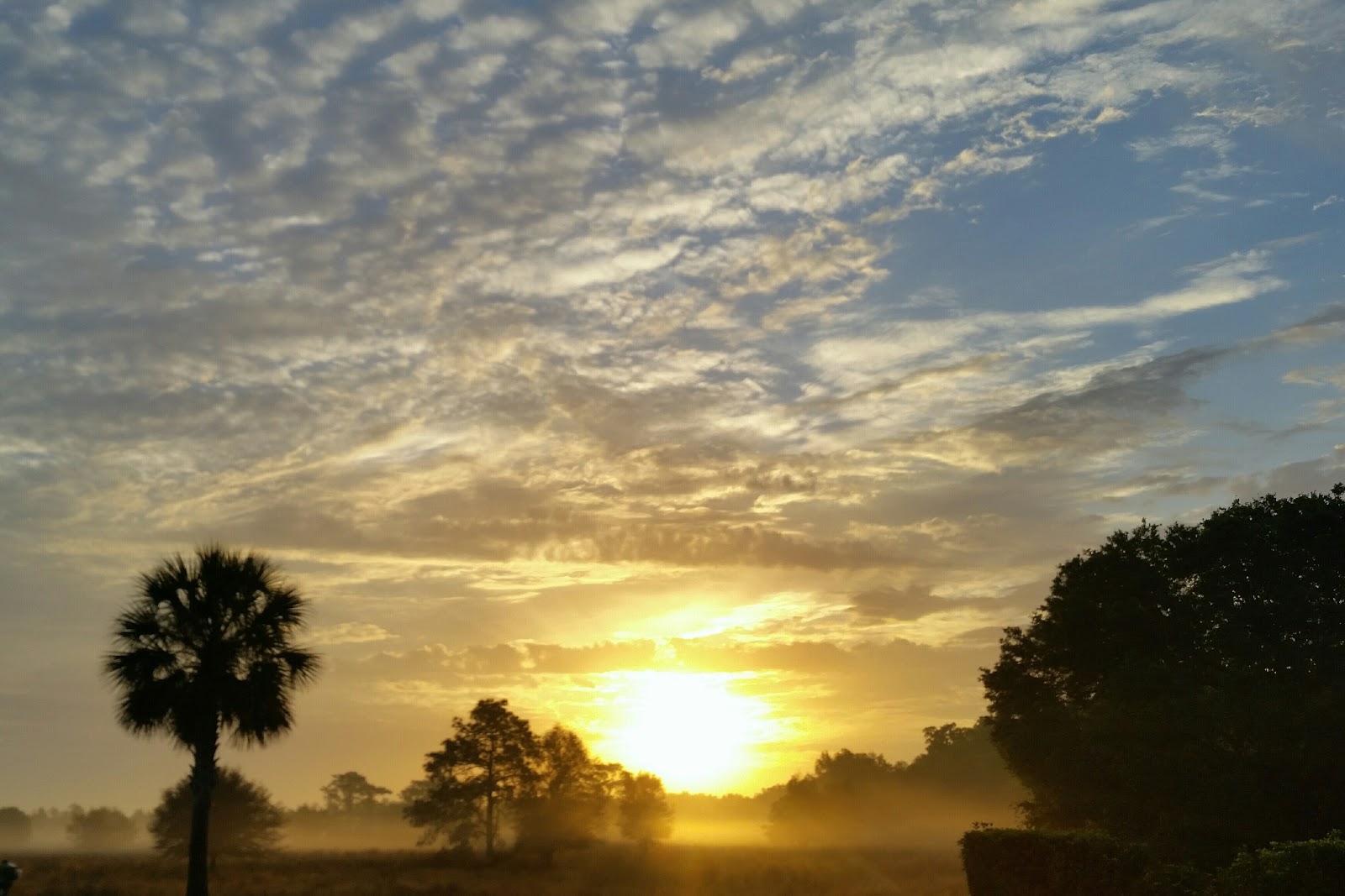 Florida Grande Motor Coach Resort