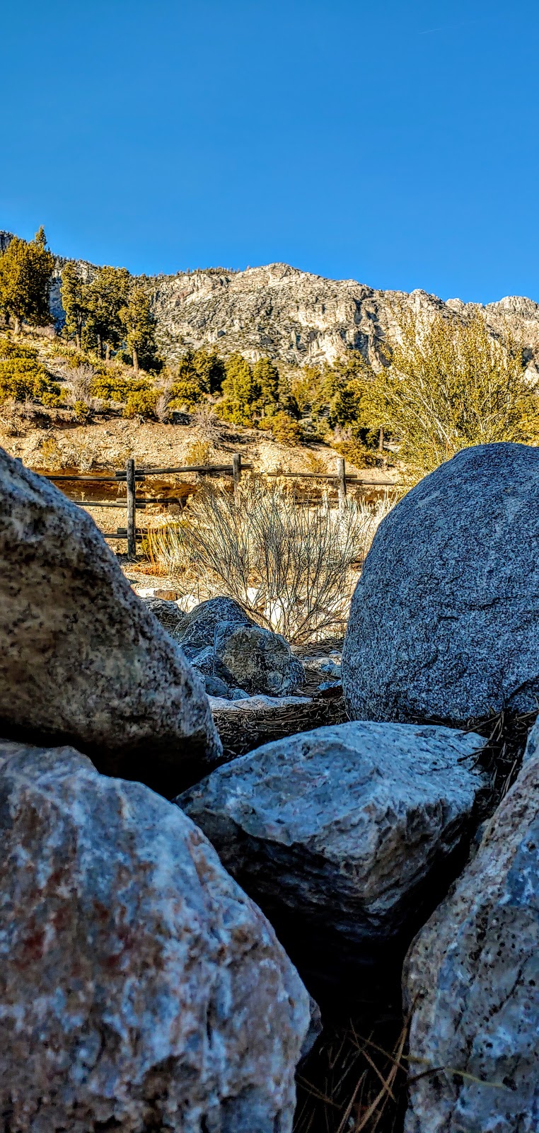 Kyle Canyon Picnic Area