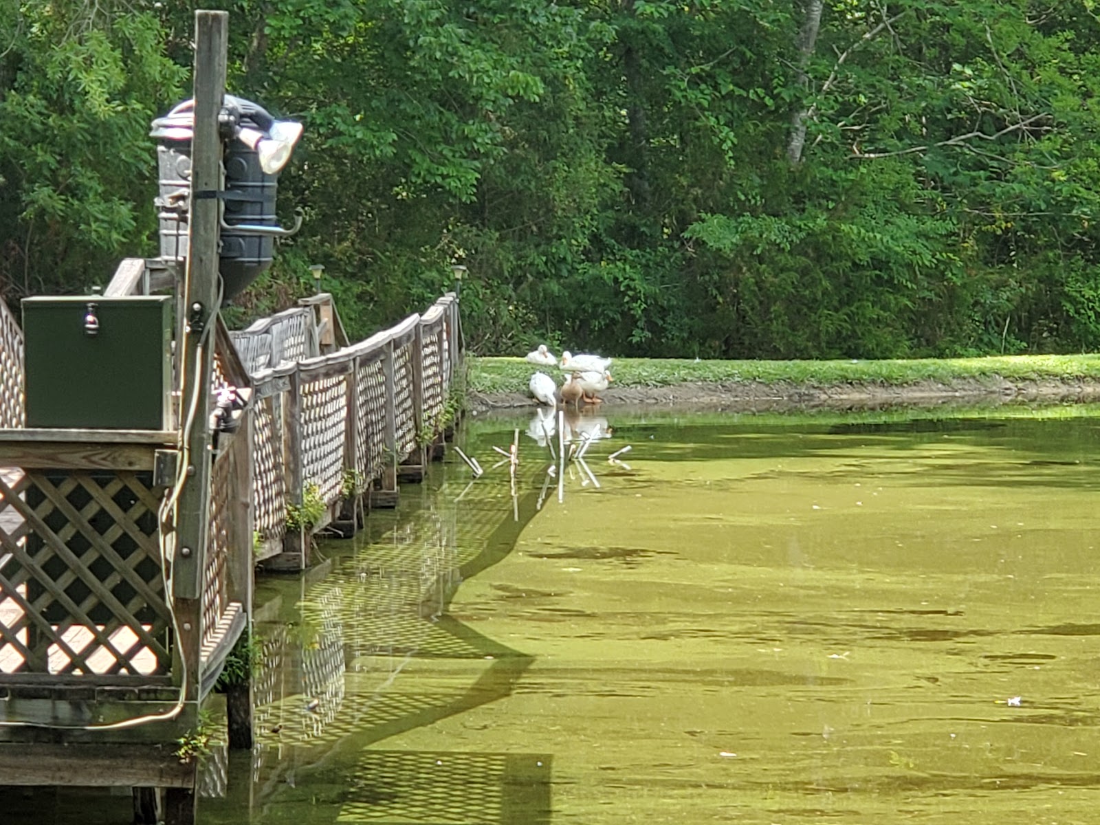 Woodsmoke Family Campground