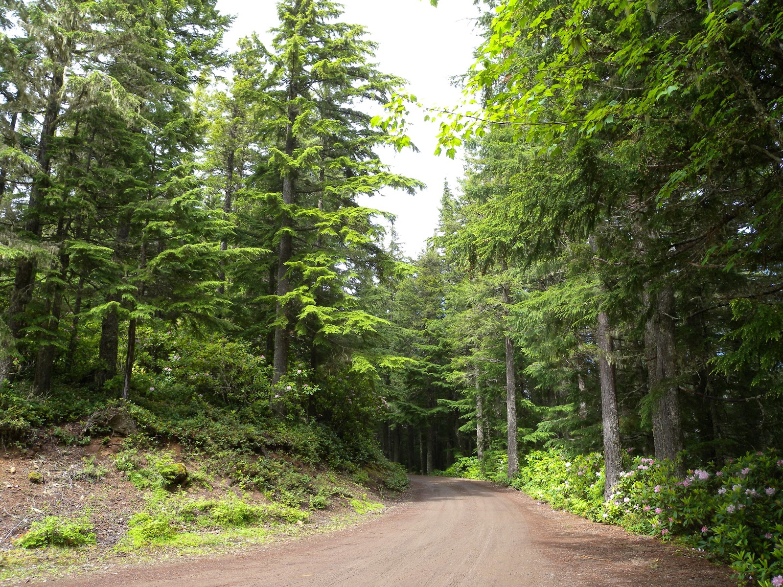 Falls View Campground