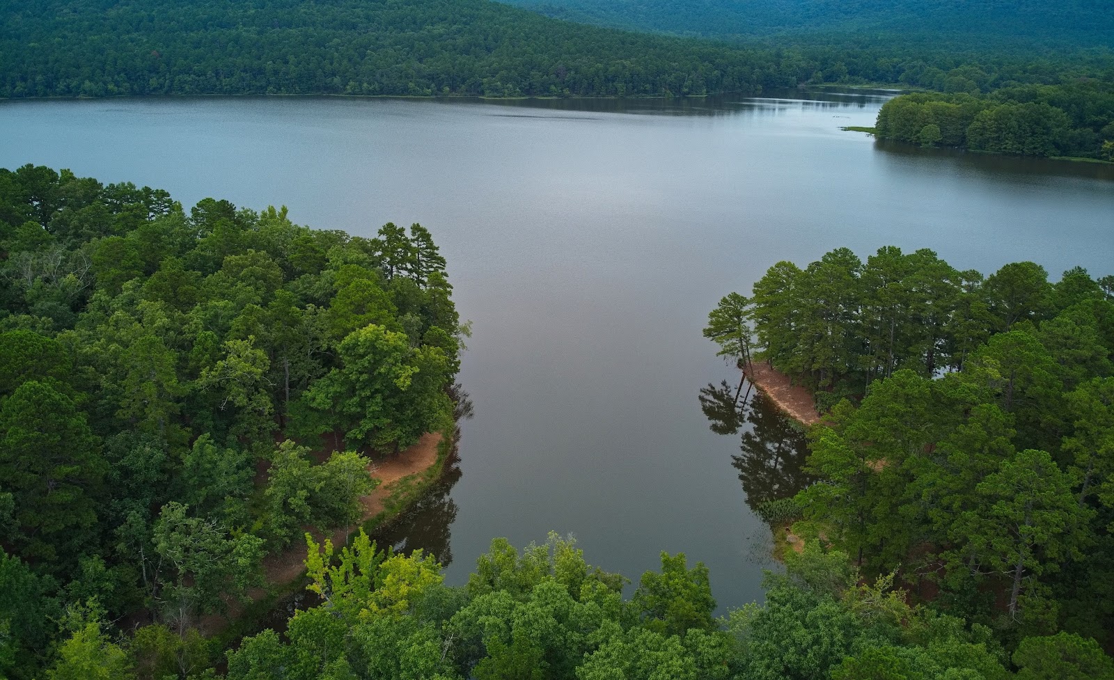 Cove Lake NF Campground