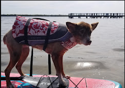 Sugar Sand Beach RV Resort