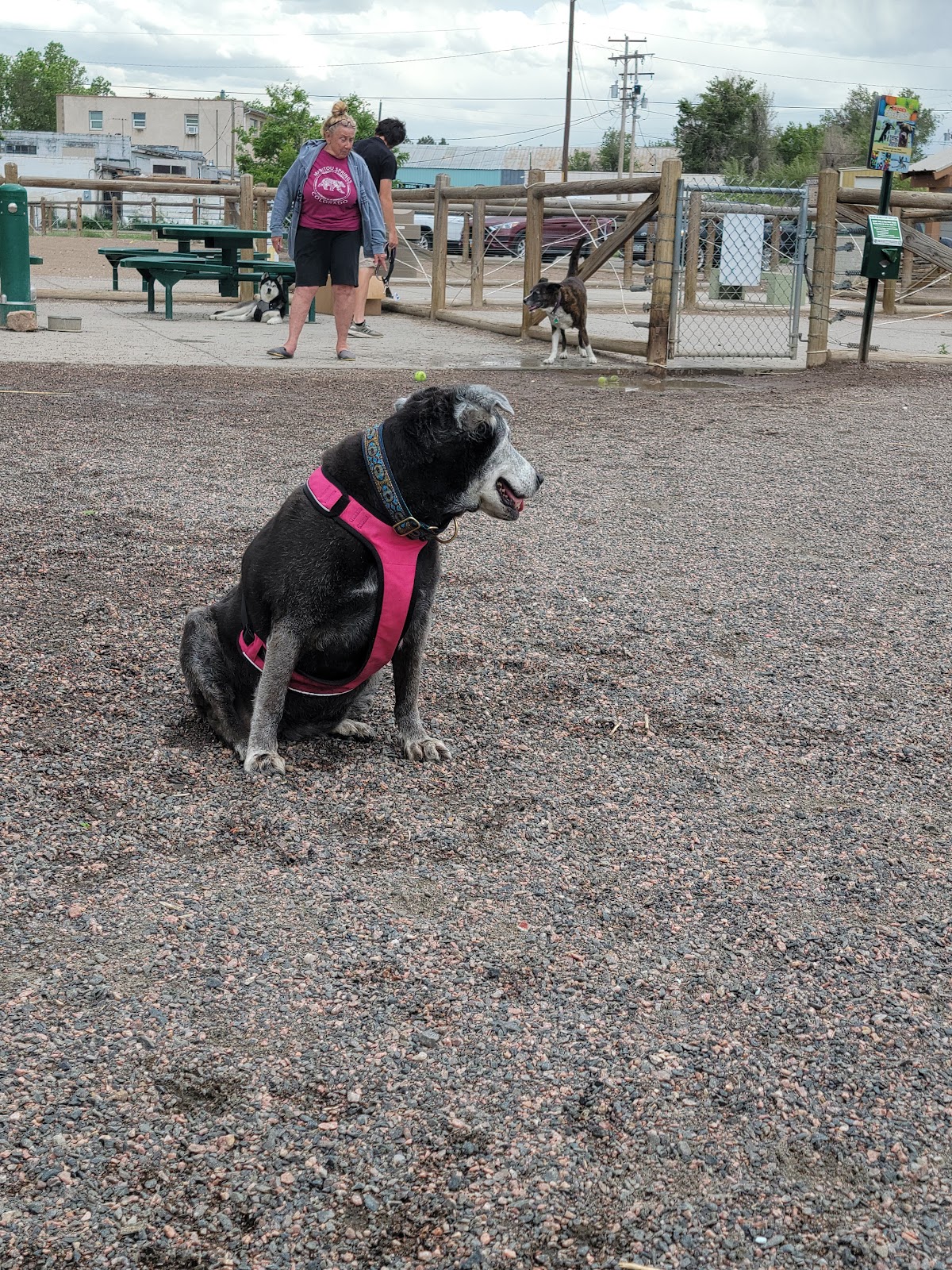 Little Dry Creek Dog Park