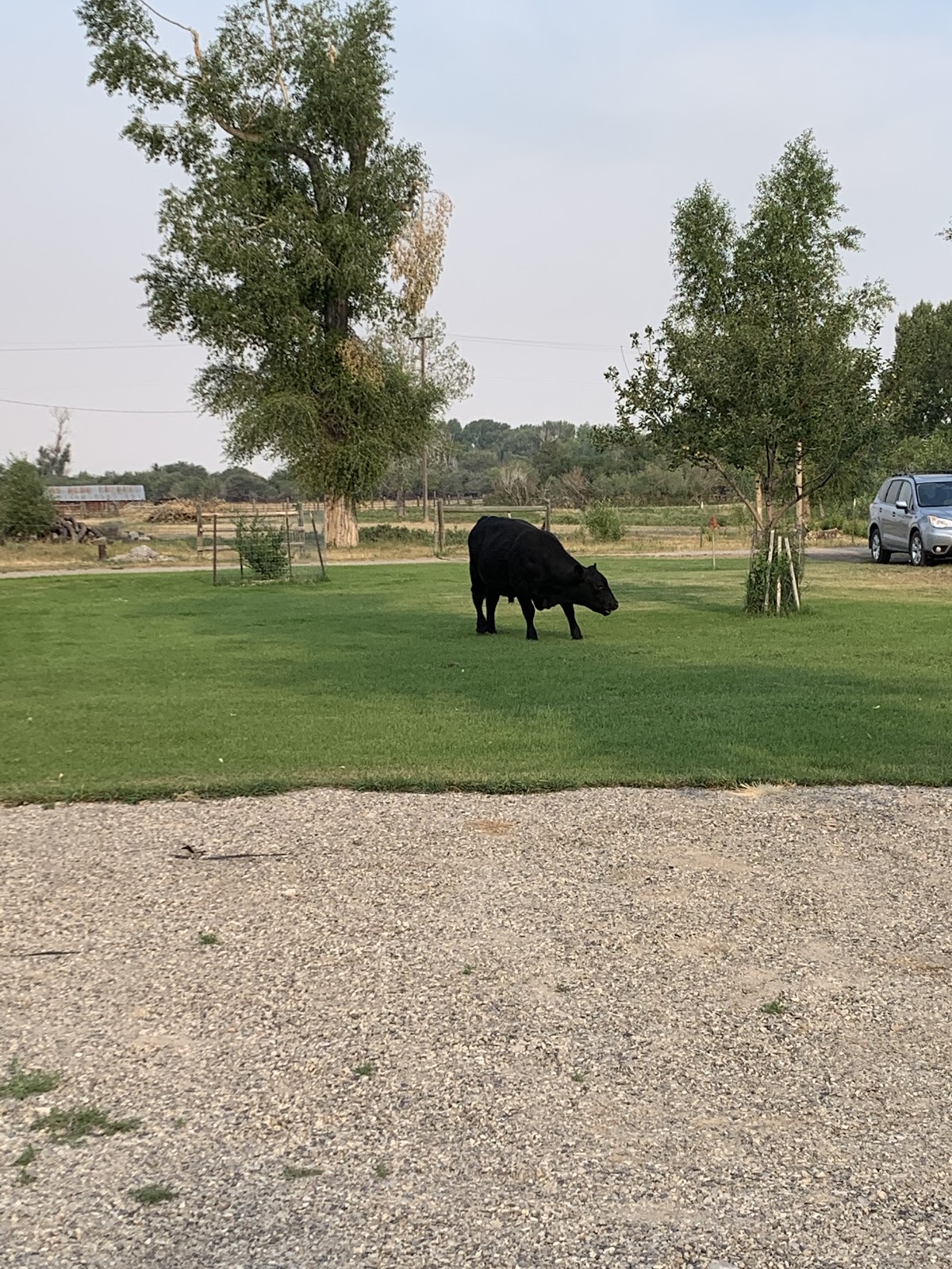 Many Pines Campground