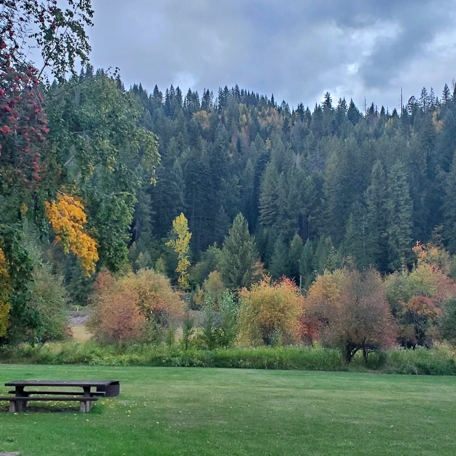 Shadowy St Joe Campground