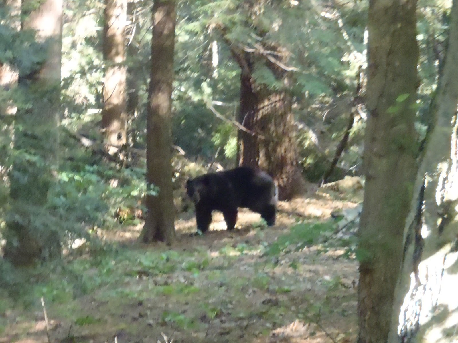 Valley In The Pines Campground, LLC