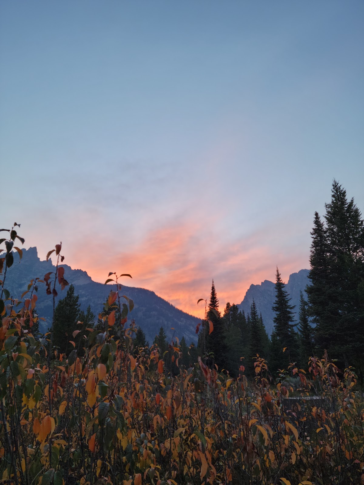 Jenny Lake Campground
