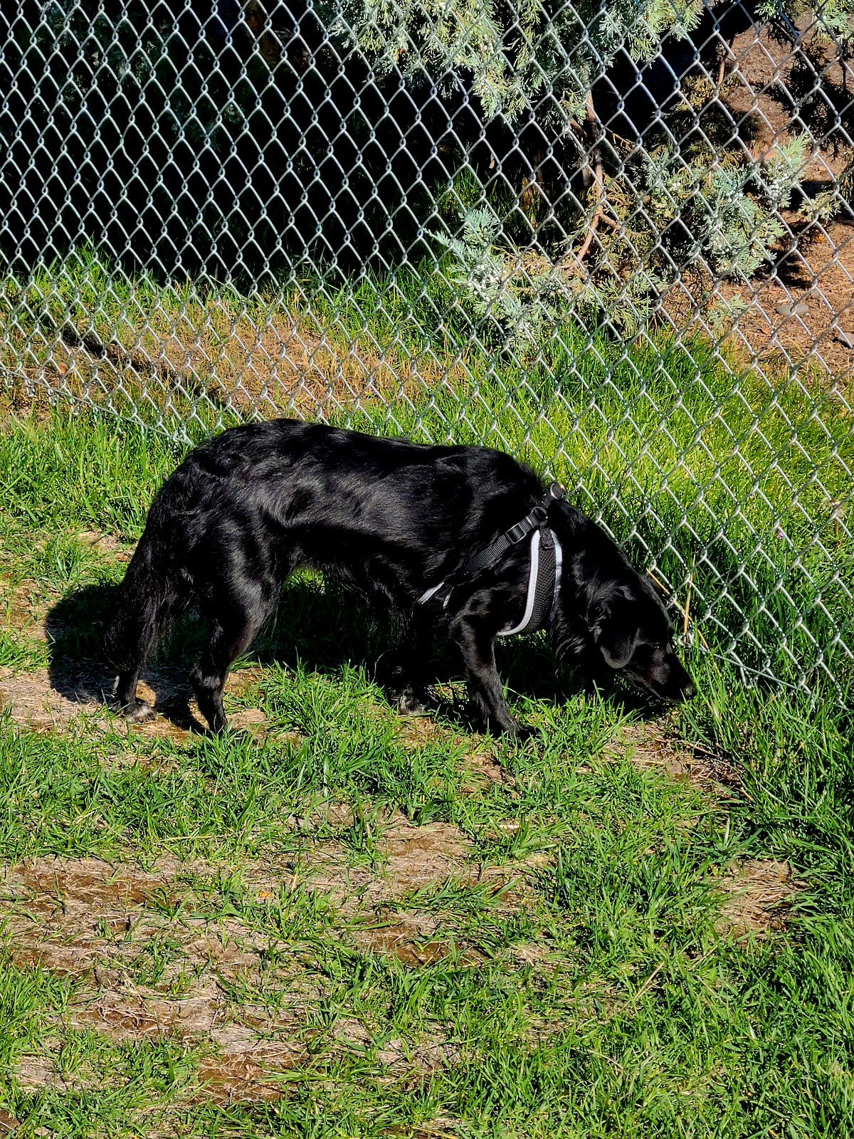 Jefferson County Fairgrounds RV Park