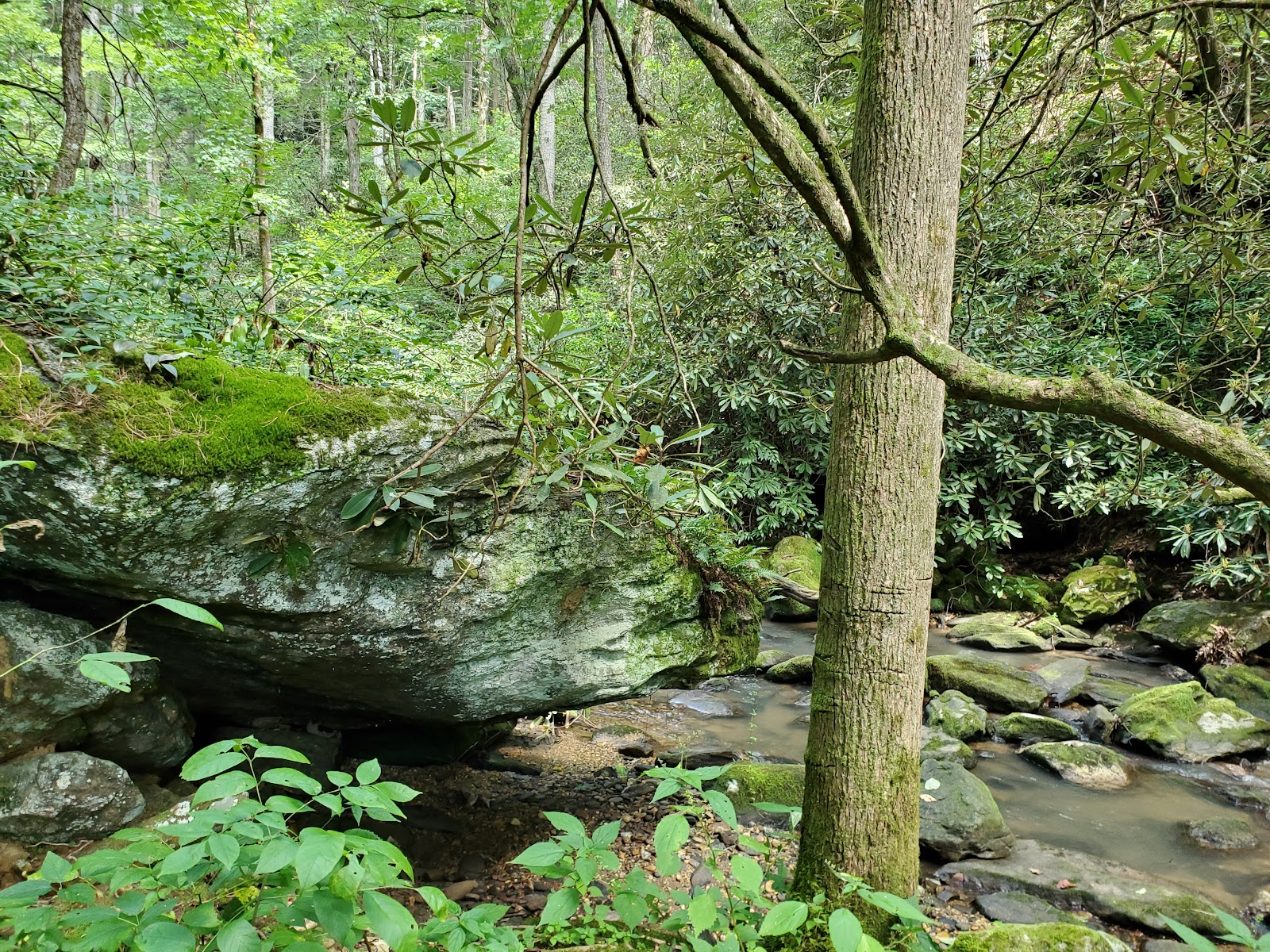 Sarahs Creek Campground