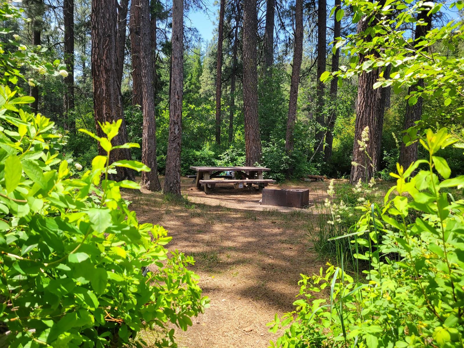 Allen Springs Campground