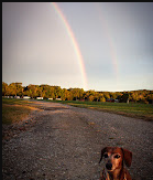 Cedar Lake Campground