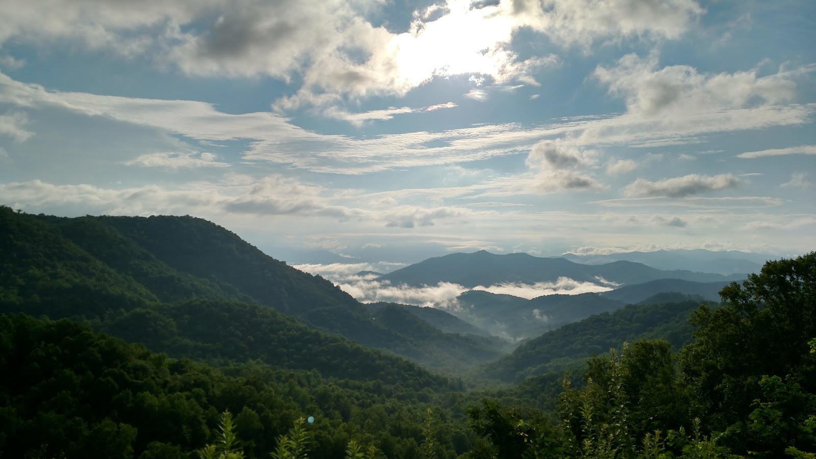 Pines RV Park & Cabins