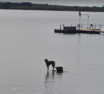 Bluebonnet Cove Casitas & RV Park