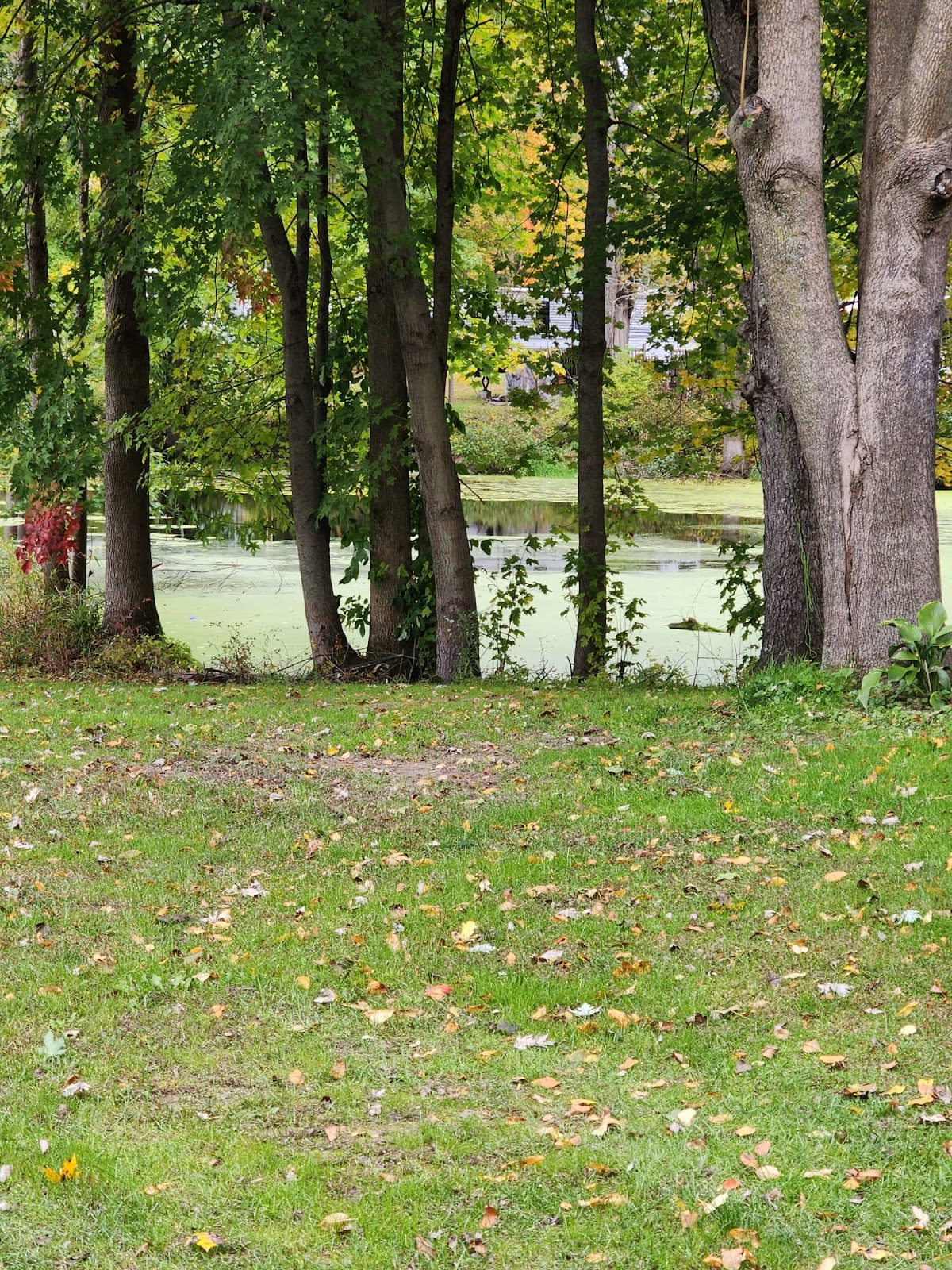 Ta-Ga-Soke Campground