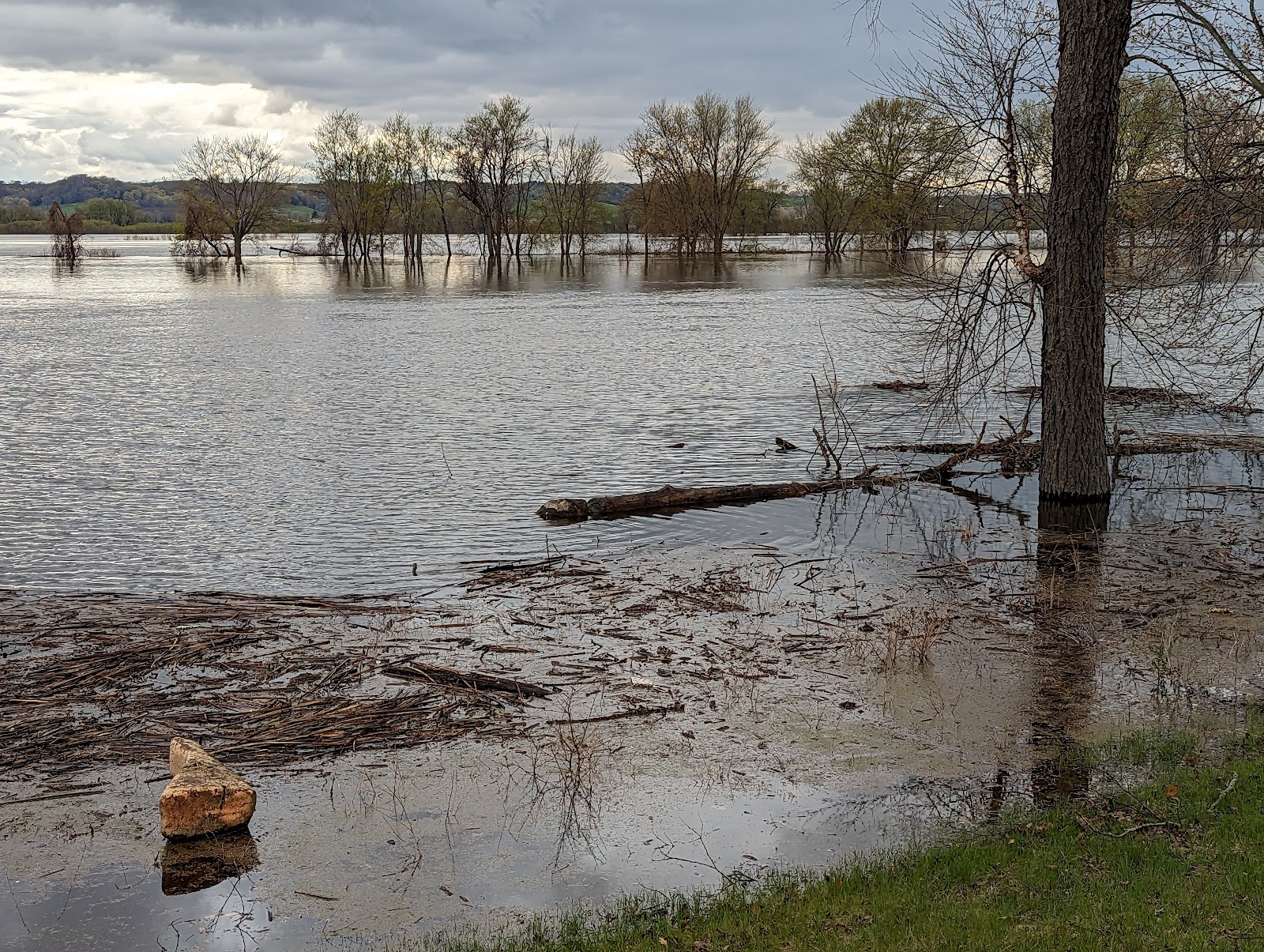 Blanding Landing Camping