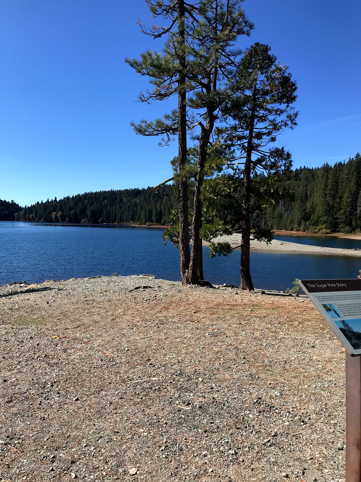 Forbes Creek Group Campground