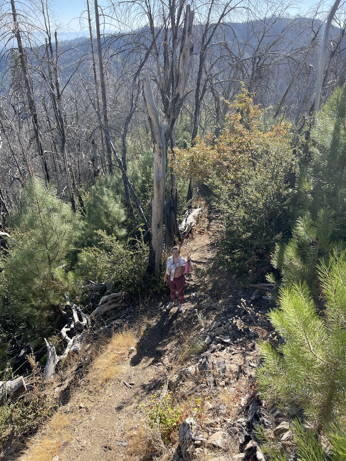 Sheep Camp Primitive Campground