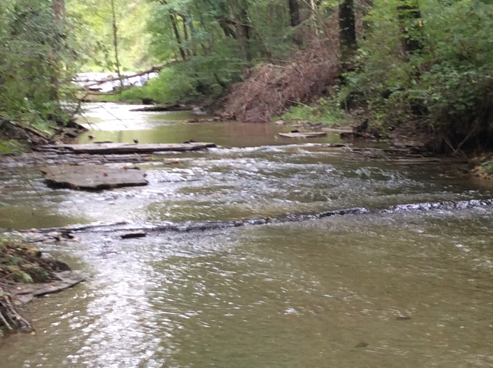 hickory ridge horsecamp