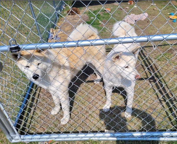 Grand View Cafe & RV Park