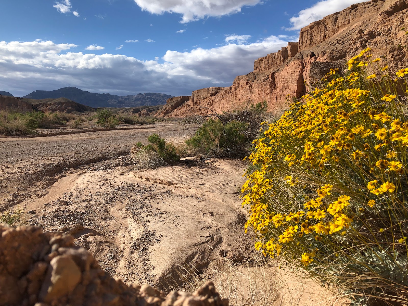 Echo Bay Lower Campground