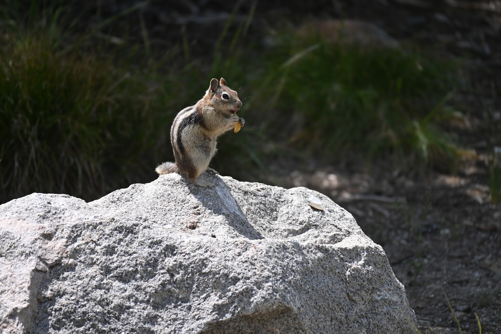 Stanley Lake Inlet Campground