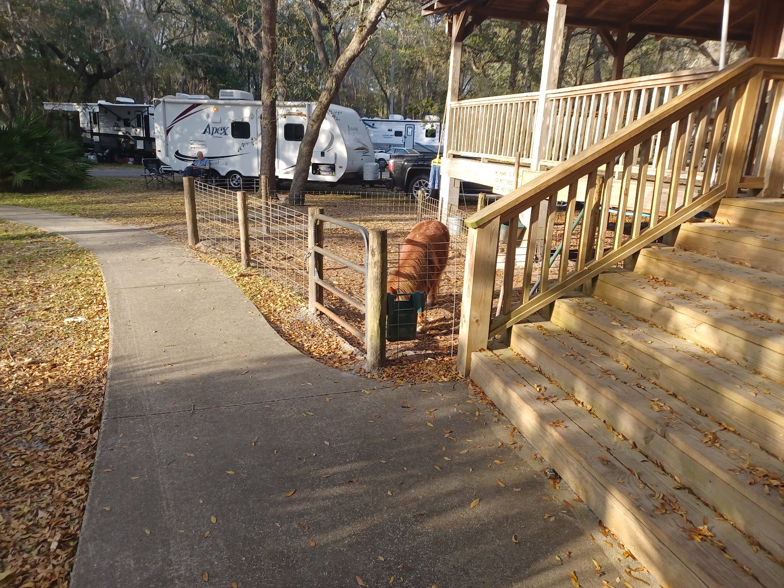 Country Oaks Campground & RV Park