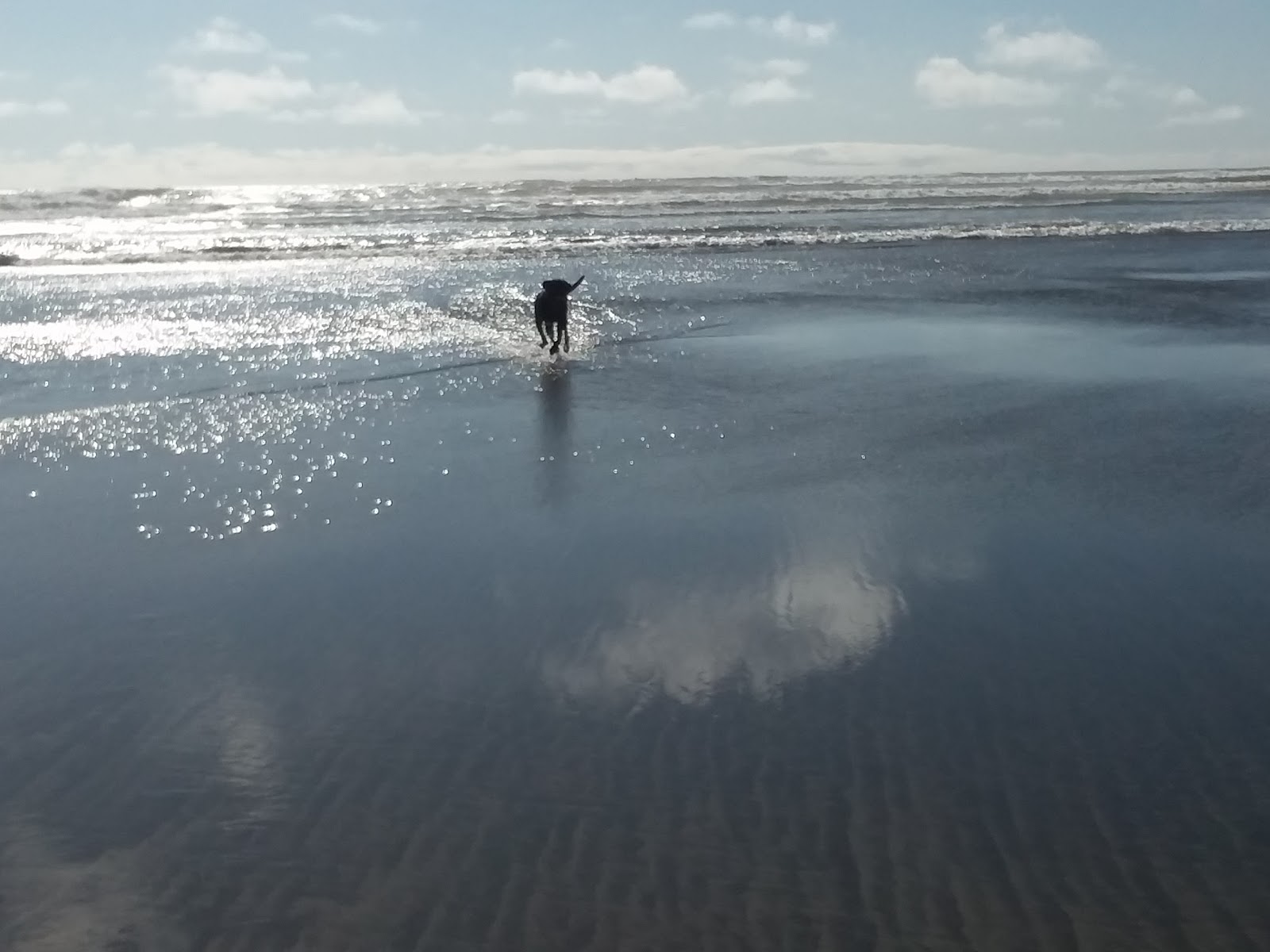 Screamin Eagle Campground