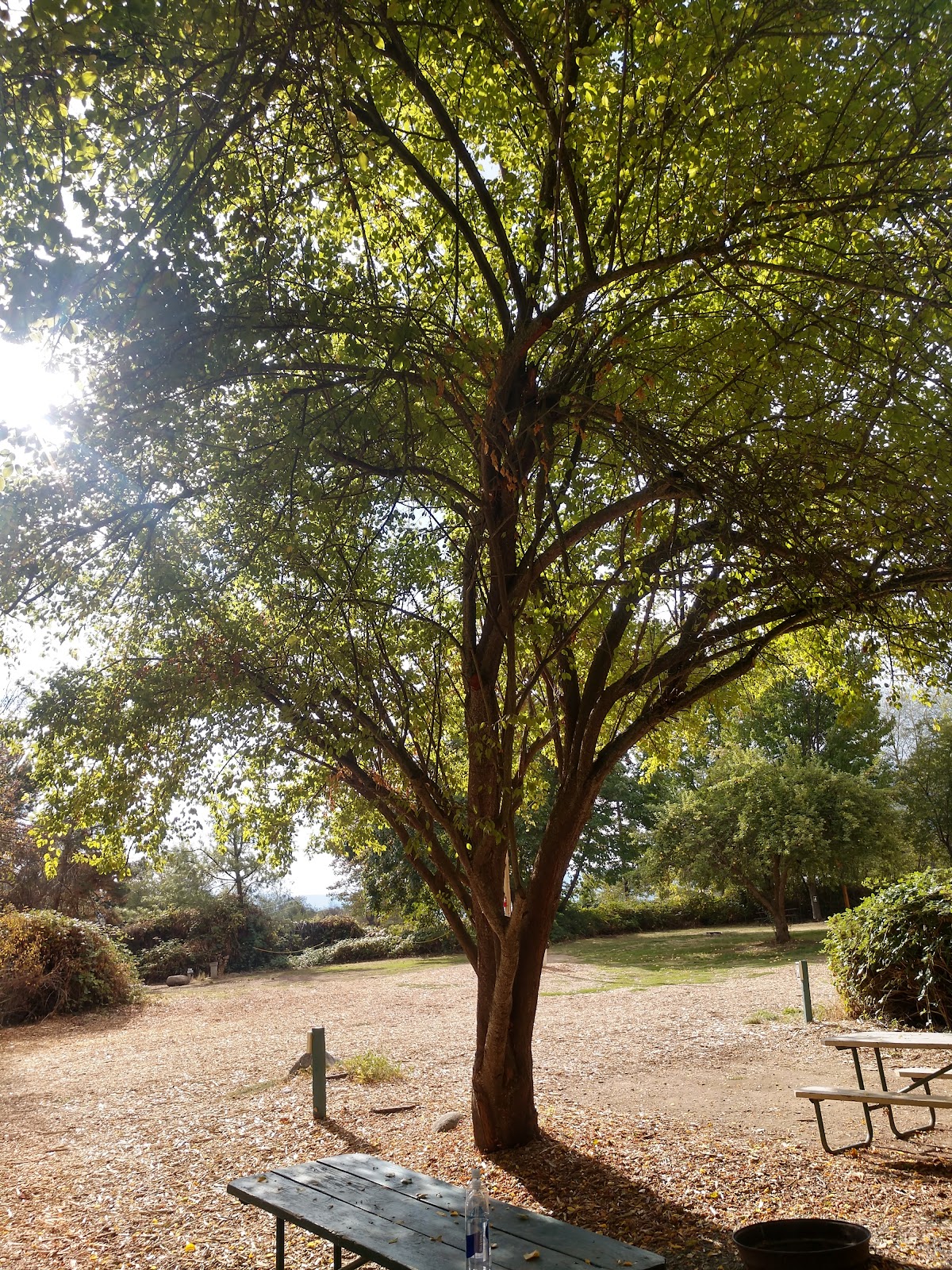 Ashland's Creekside Campground & RV Park