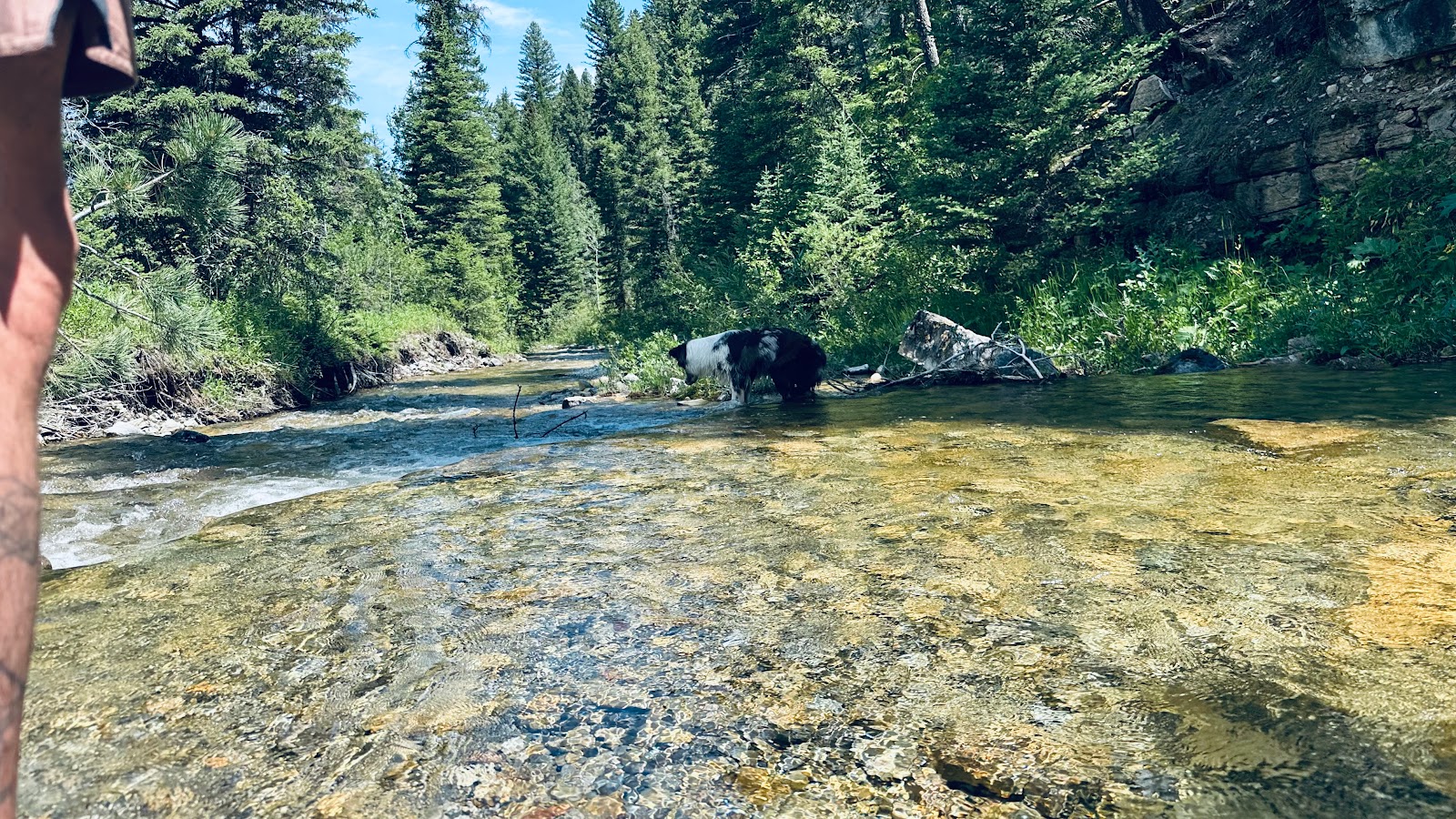 Kings Hill Campground