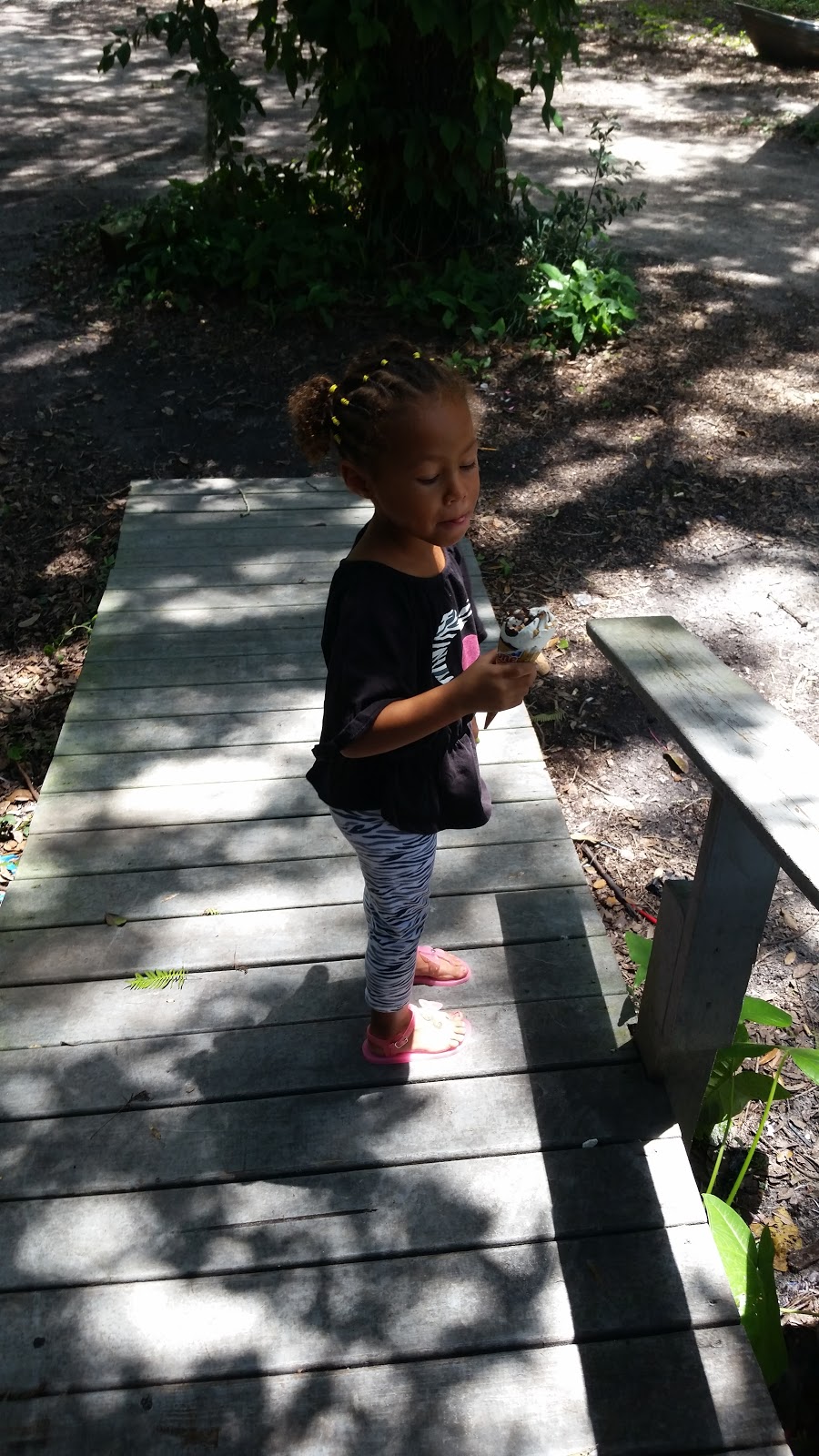 Andy's Travel Trailer Park (55+ Park)