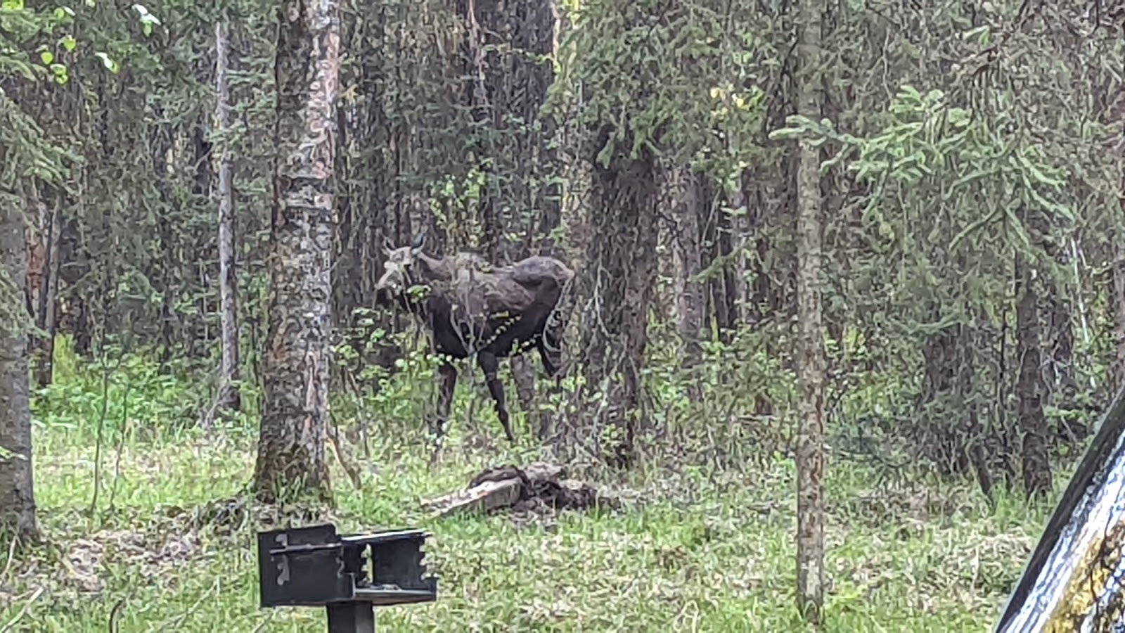 Elmendorf AFB FamCamp