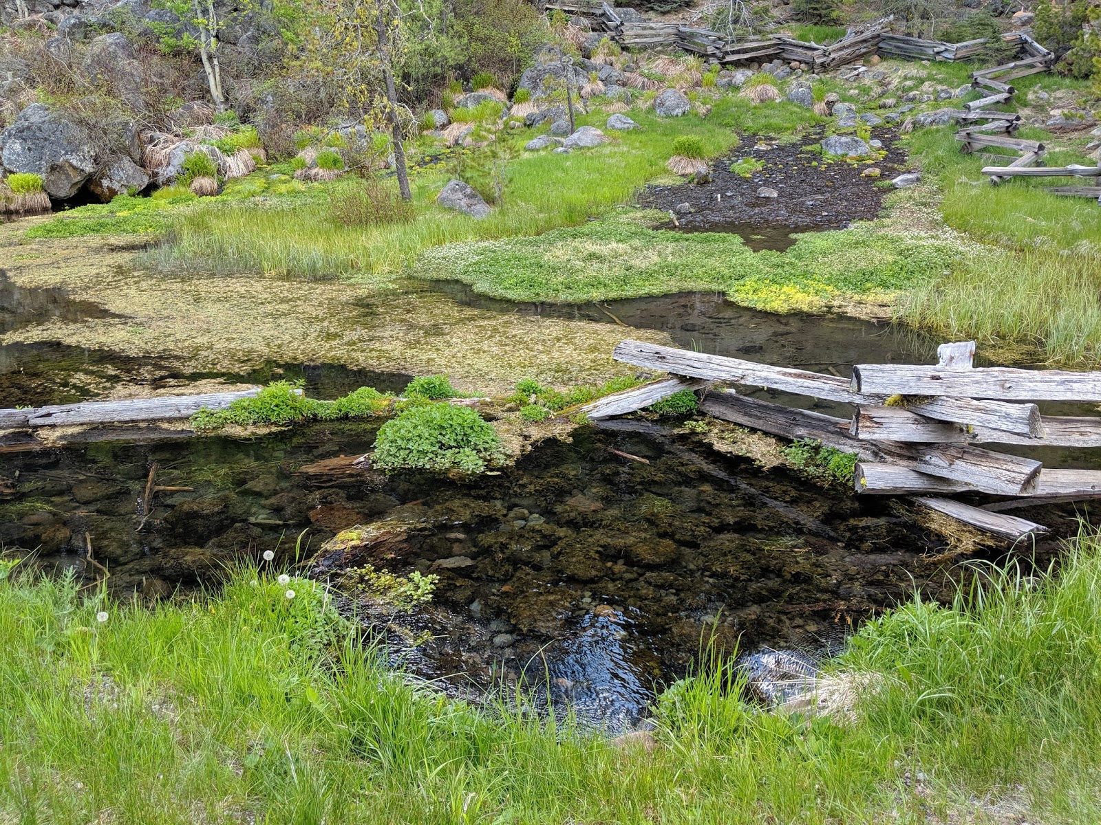 Domingo Springs Campground