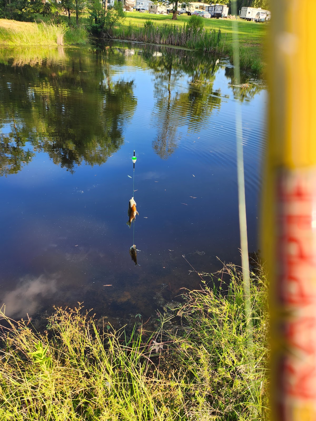 Country Haven RV Park