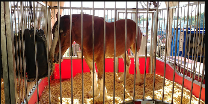 Washington County Fairgrounds