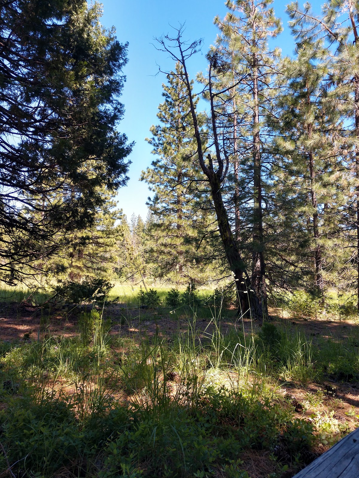 Volcano Country Camping and RV