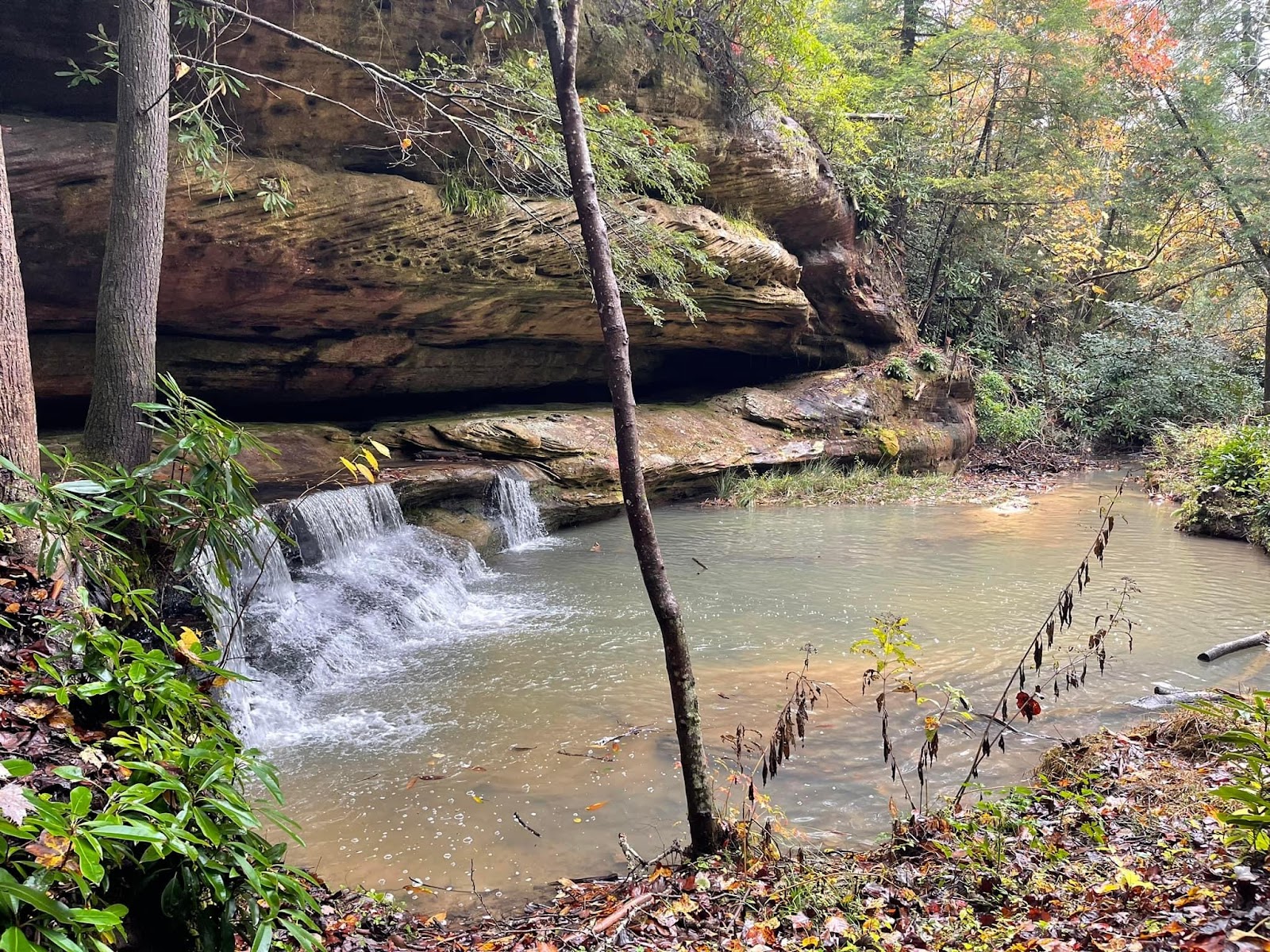 Laurel Creek Travel Park