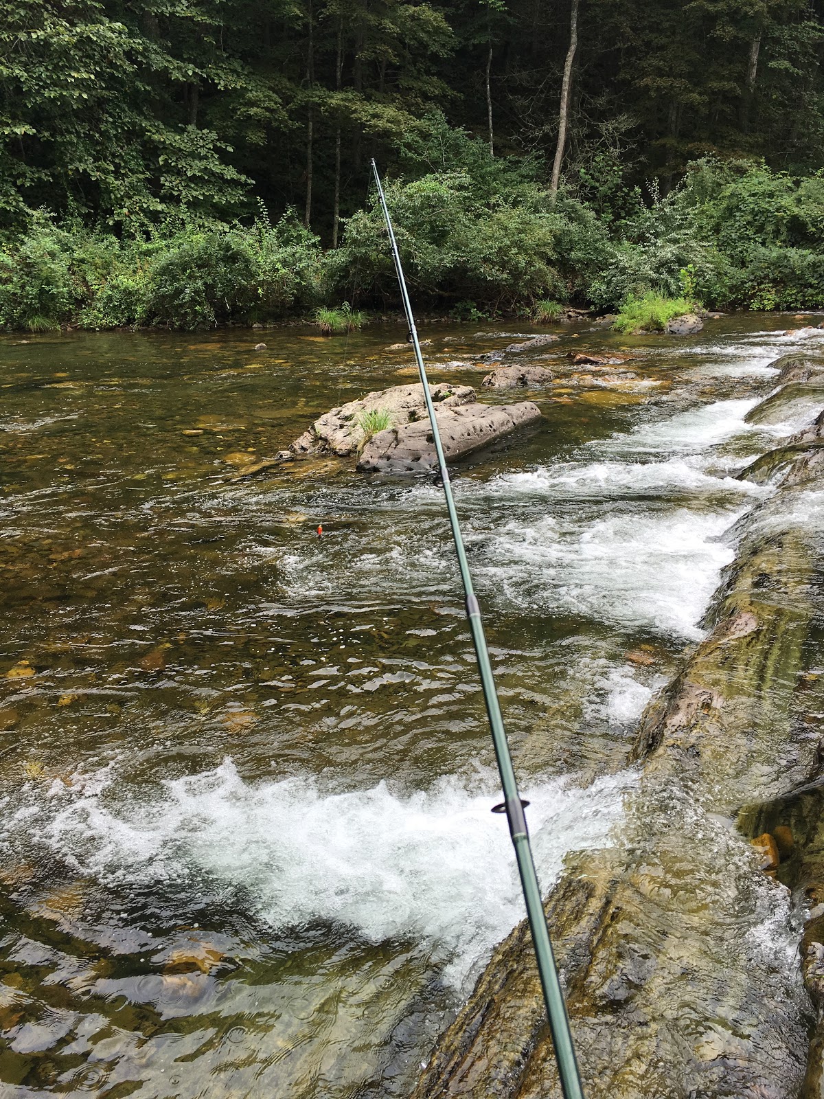 Blowing Springs Campground