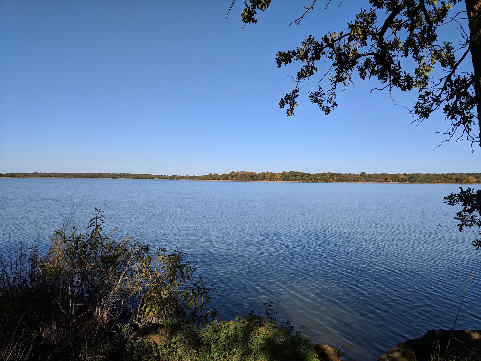 Dukes Forest Campground