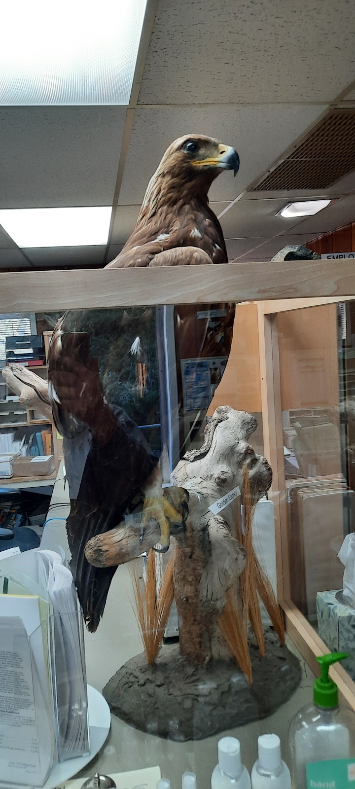 Mad River Campground