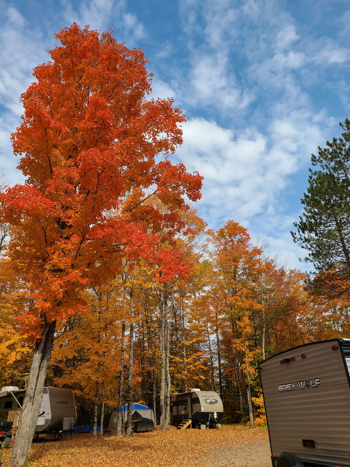 Wilde Pines Campground
