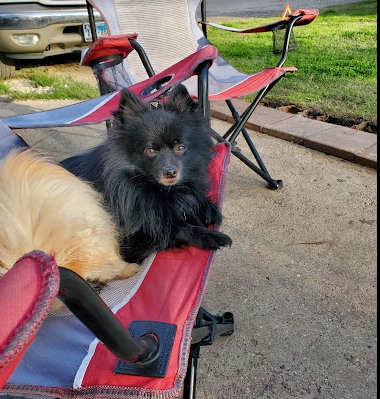 Lake Conroe RV Resort