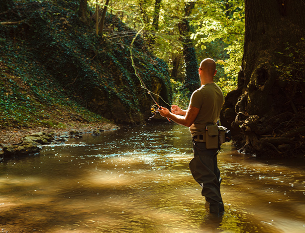Dead Timber State Recreation Area